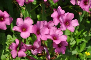 19.5.22.2.jpg