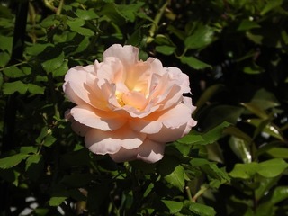 19.5.23.1.jpg