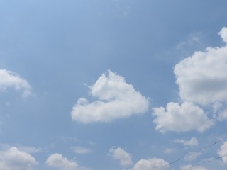 19.5.25.1.jpg