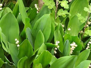 19.5.25.2.jpg