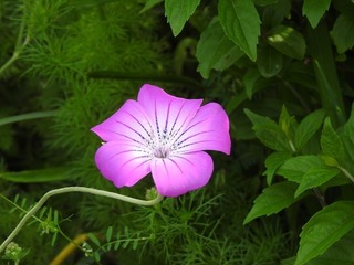 19.5.27.2.jpg