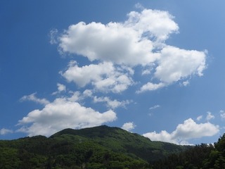 19.5.28.2.jpg