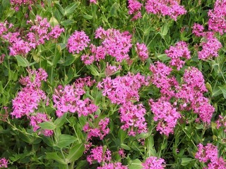 19.5.28.3.jpg
