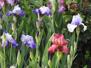19.5.3.1.jpg