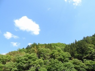 19.5.30.1.jpg