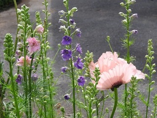 19.5.30.3.jpg