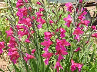 19.5.31.1.jpg