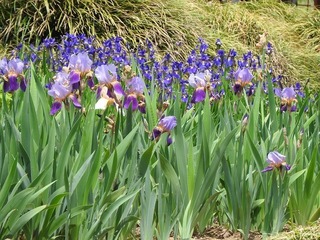 19.5.31.2.jpg