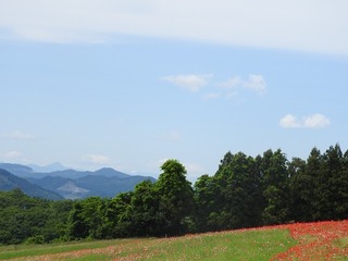19.6.10.1.jpg