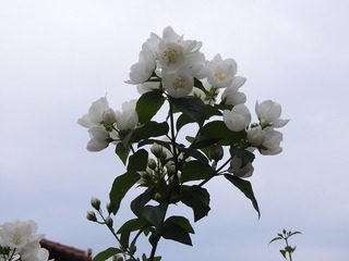 19.6.11.1.jpg