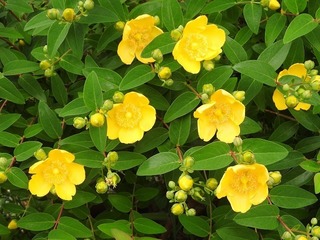 19.6.11.2.jpg