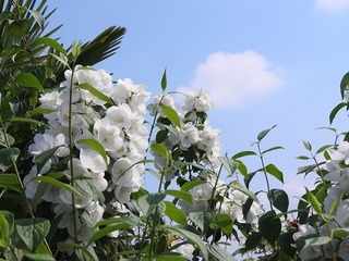 19.6.12.1.jpg