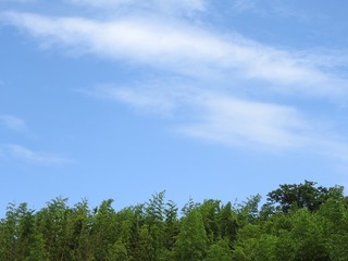 19.6.15.1.jpg