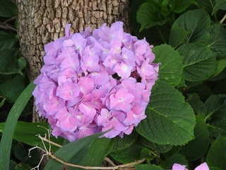 19.6.15.2.jpg