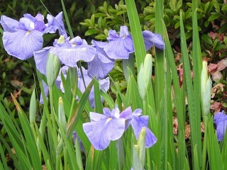 19.6.15.3.jpg