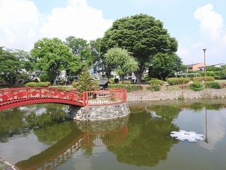 19.6.16.2.jpg
