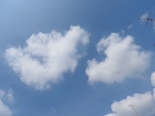 19.6.19.1.jpg