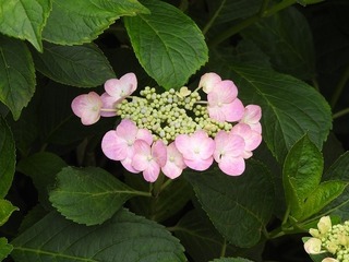19.6.22.1.jpg