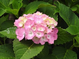 19.6.22.2.jpg