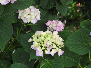 19.6.23.1.jpg