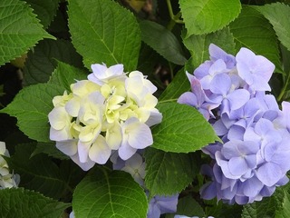 19.6.27.1.jpg