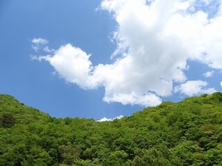 19.6.3.1.jpg