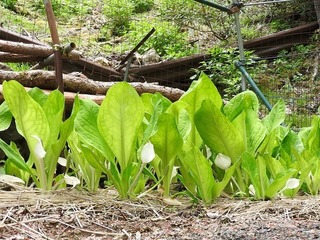 19.6.5.1.jpg