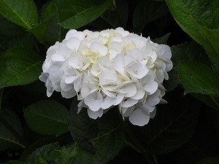 19.7.12.1.jpg