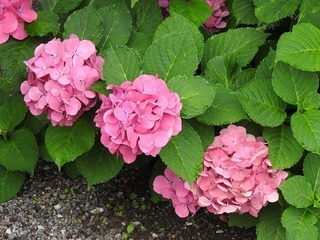 19.7.12.2.jpg