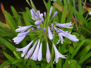 19.7.14.1.jpg