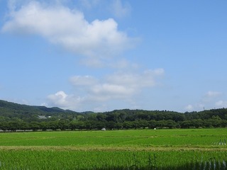 19.7.18.1.jpg