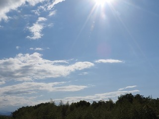 19.7.20.1.jpg