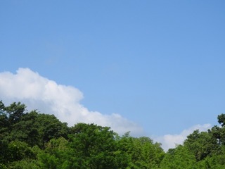 19.7.21.1.jpg