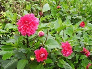 19.7.25.2.jpg