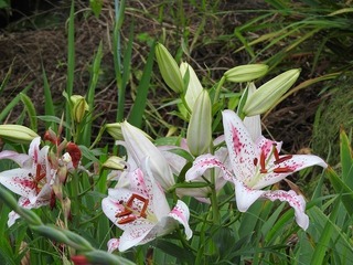19.7.25.3.jpg