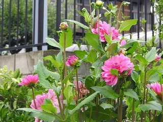 19.7.26.3.jpg