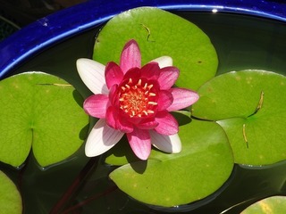 19.7.27.3.jpg