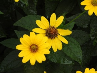 19.7.28.2.jpg