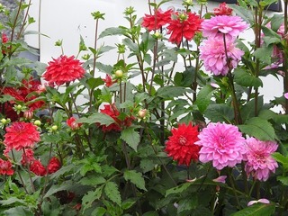 19.7.28.3.jpg