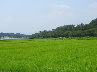 19.8.12.jpg