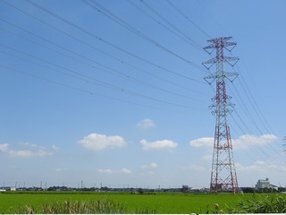 19.8.14.1.jpg