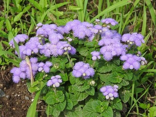 19.8.18.3.jpg