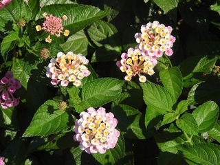 19.8.29.1.jpg