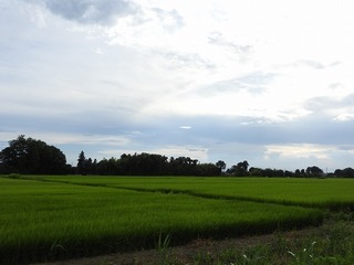19.8.29.2.jpg