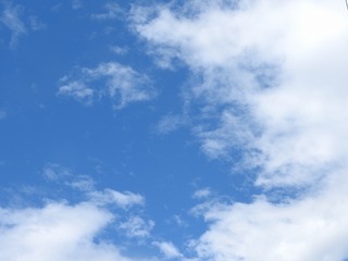 19.8.3.1.jpg
