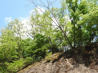 19.8.5.2.jpg