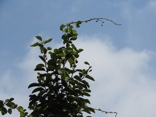 19.9.12.1.jpg