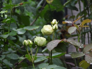 19.9.22.2.jpg