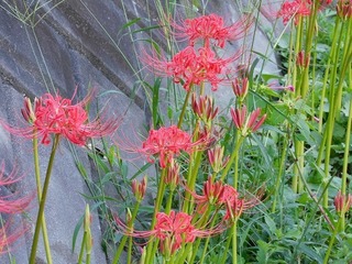 19.9.25.1.jpg