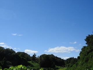 19.9.26.1.jpg